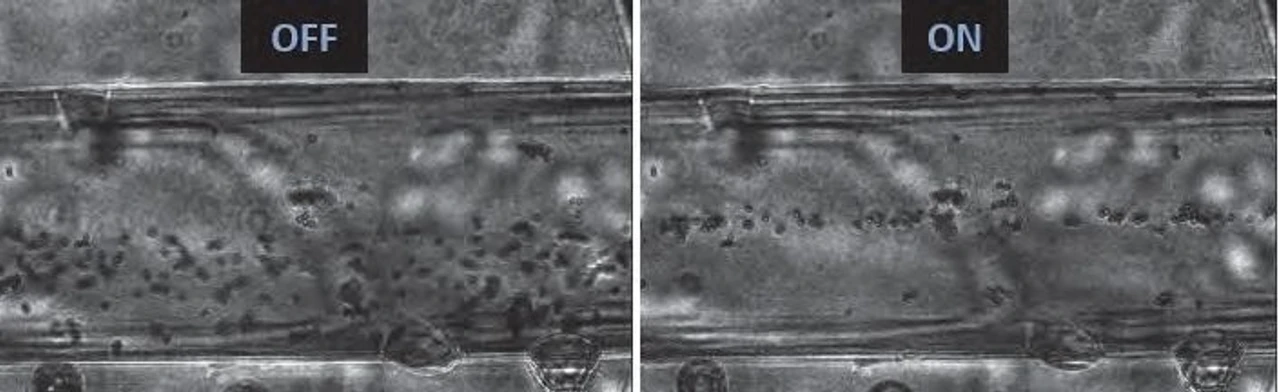 Lucie Březinová: Obr.3. Fotografie toku kuliček bez a s použitím ultrazvukových vln