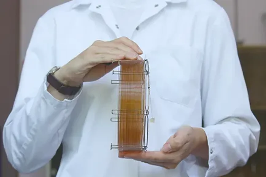 <p><strong>Phenomenex: </strong>Jak chránit GC kolonu – část 2</p>