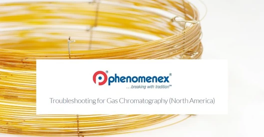 Troubleshooting for Gas Chromatography