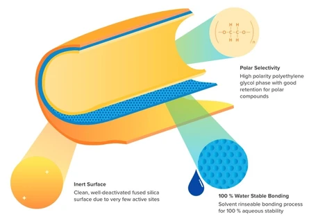 Phenomenex Zebron ZB-WAXplus GC kolony