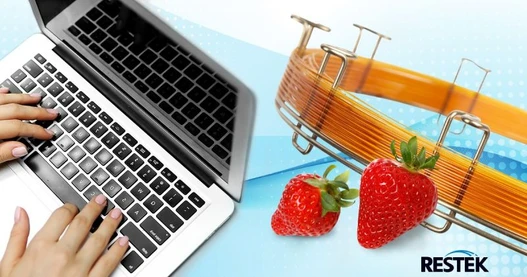 GC Solutions for Food & Environmental Industry