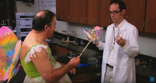 Chromatografická víla