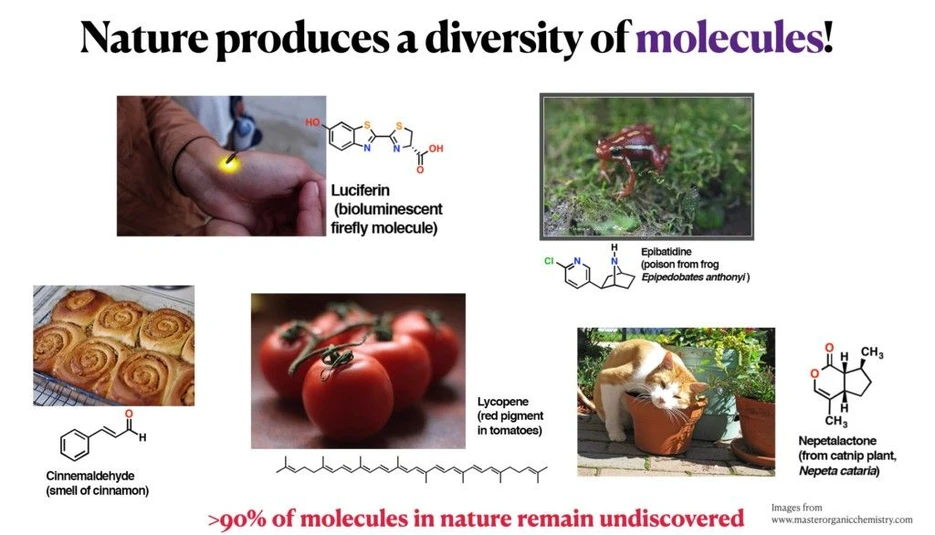 ÚOCHB: Vědci z CIIRC a ÚOCHB stojí v čele iniciativy pro objevování molekul s využitím umělé inteligence: Výzkumníci z CIIRC ČVUT a ÚOCHB AV ČR prezentující MassSpecGym na konferenci NeurIPS 2024 ve Vancouveru, 13. prosince 2024 – zleva doprava: Raman Samusevich, Anton Bushuiev, Roman Bushuiev.