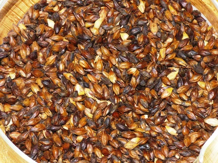 Stanovení methioninu ve sladu