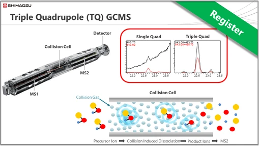 Shimadzu Theory & Key Principles Series - GCMS Session 3: Triple Quadrupole (TQ) GCMS