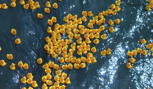 TED-GC/MS, Thermal Extraction and –Desorption combined with Gas Chromatography-Mass Spectrometry, a novel technique for the determination of microplastics in water