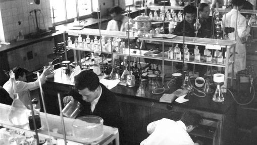 Začalo to chemií u pekařů a cukrářů. Kam za 65 let došla Univerzita Pardubice?