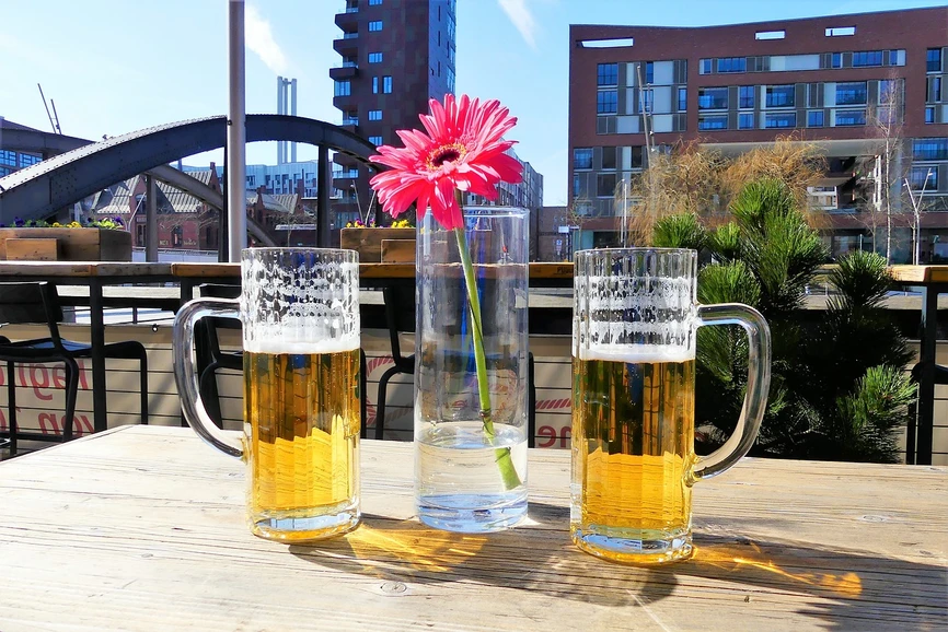 Pixabay/Peter Kraayvanger: Sample Preparation and Chromatographic Approaches to Quality and Sensory Testing of Beer