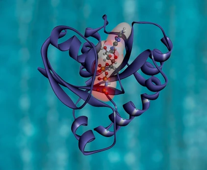 Umělá inteligence AlphaFold způsobila v biologii revoluci