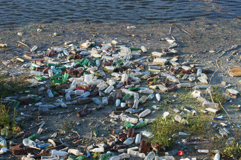 Pixabay/Emilian Robert Vicol: Plasty v životním prostředí